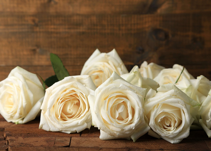 The Meaning of a White Rose